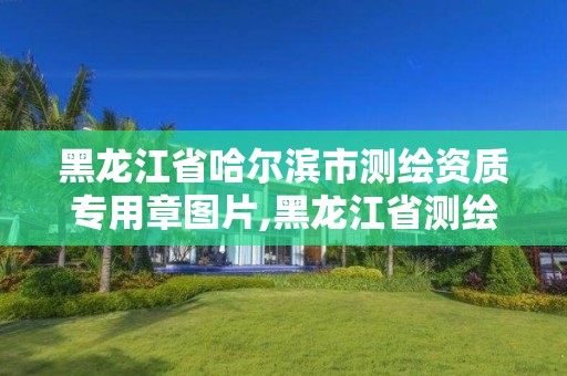 黑龍江省哈爾濱市測繪資質專用章圖片,黑龍江省測繪資質延期通知