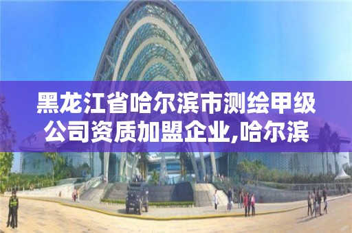 黑龍江省哈爾濱市測繪甲級公司資質加盟企業(yè),哈爾濱測繪公司招聘