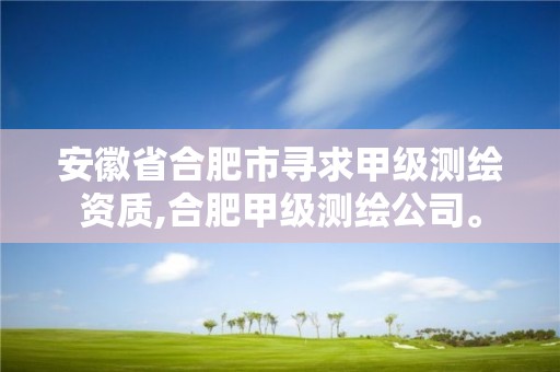 安徽省合肥市尋求甲級(jí)測繪資質(zhì),合肥甲級(jí)測繪公司。