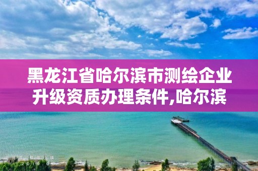 黑龍江省哈爾濱市測繪企業升級資質辦理條件,哈爾濱測繪局屬于什么單位