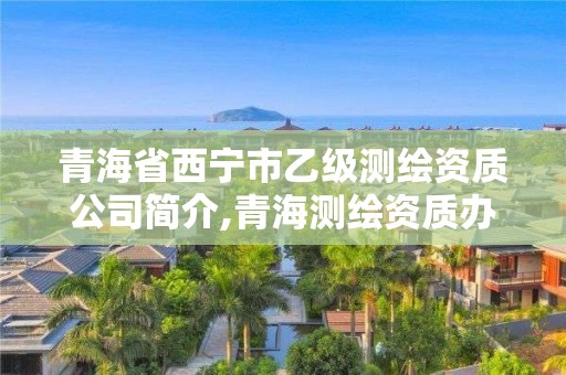 青海省西寧市乙級測繪資質公司簡介,青海測繪資質辦理