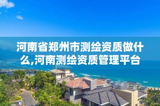 河南省鄭州市測繪資質做什么,河南測繪資質管理平臺