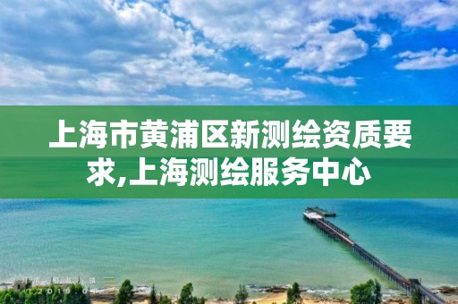 上海市黃浦區(qū)新測繪資質要求,上海測繪服務中心