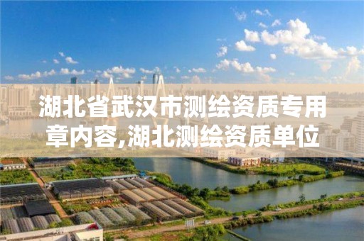 湖北省武漢市測繪資質專用章內容,湖北測繪資質單位。