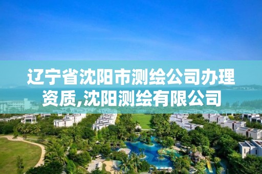 遼寧省沈陽市測繪公司辦理資質(zhì),沈陽測繪有限公司