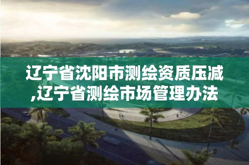 遼寧省沈陽市測繪資質(zhì)壓減,遼寧省測繪市場管理辦法