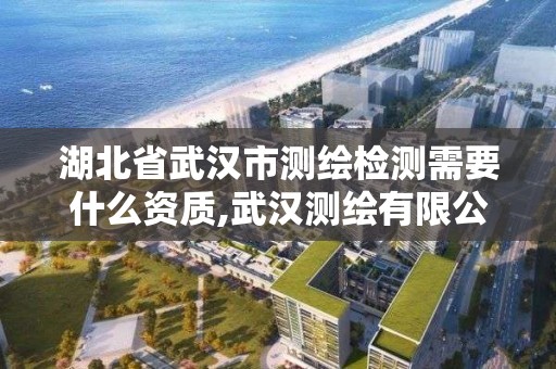 湖北省武漢市測繪檢測需要什么資質,武漢測繪有限公司