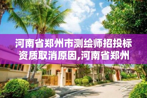 河南省鄭州市測繪師招投標資質取消原因,河南省鄭州市測繪師招投標資質取消原因有哪些。