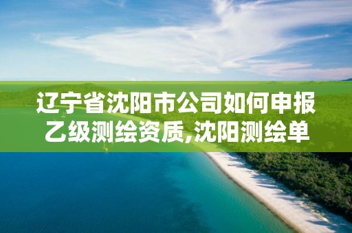 遼寧省沈陽市公司如何申報(bào)乙級(jí)測(cè)繪資質(zhì),沈陽測(cè)繪單位。