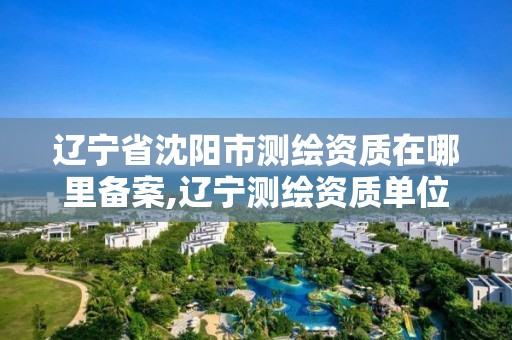 遼寧省沈陽市測繪資質在哪里備案,遼寧測繪資質單位