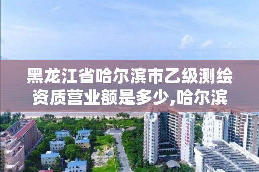 黑龍江省哈爾濱市乙級測繪資質營業額是多少,哈爾濱測繪局屬于什么單位