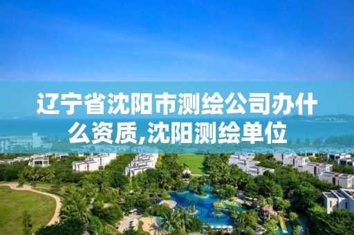 遼寧省沈陽市測繪公司辦什么資質,沈陽測繪單位