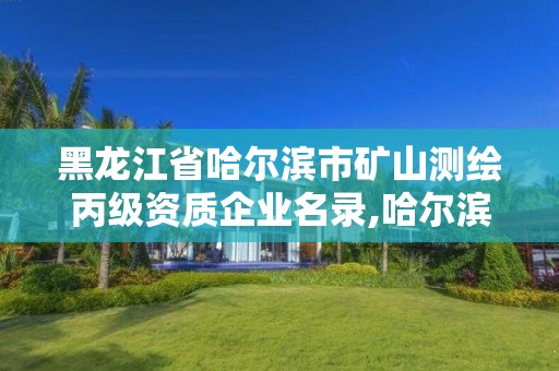 黑龍江省哈爾濱市礦山測繪丙級資質企業名錄,哈爾濱甲級測繪公司