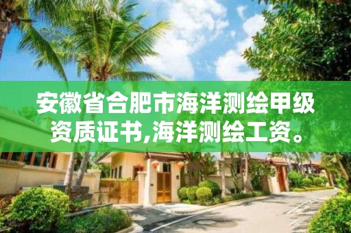 安徽省合肥市海洋測繪甲級資質證書,海洋測繪工資。