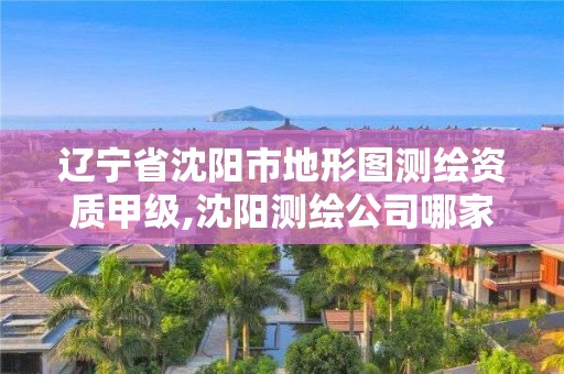 遼寧省沈陽市地形圖測繪資質甲級,沈陽測繪公司哪家強哪家好。