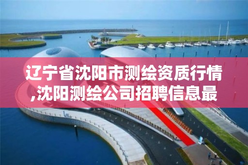 遼寧省沈陽市測繪資質行情,沈陽測繪公司招聘信息最新招聘