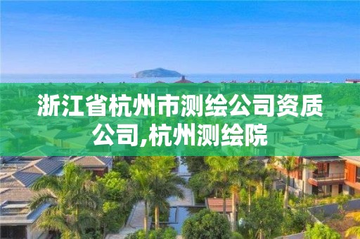 浙江省杭州市測繪公司資質公司,杭州測繪院