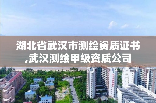 湖北省武漢市測繪資質證書,武漢測繪甲級資質公司