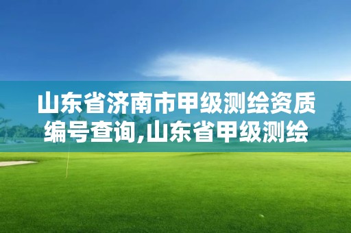 山東省濟南市甲級測繪資質編號查詢,山東省甲級測繪單位多少家