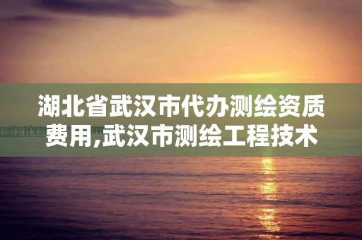 湖北省武漢市代辦測繪資質費用,武漢市測繪工程技術規定