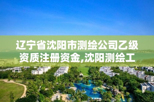 遼寧省沈陽市測繪公司乙級資質注冊資金,沈陽測繪工程師招聘。