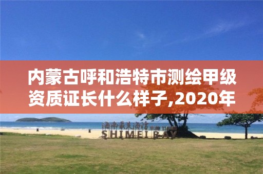 內蒙古呼和浩特市測繪甲級資質證長什么樣子,2020年測繪甲級資質條件。