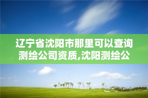 遼寧省沈陽市那里可以查詢測繪公司資質,沈陽測繪公司哪家強哪家好