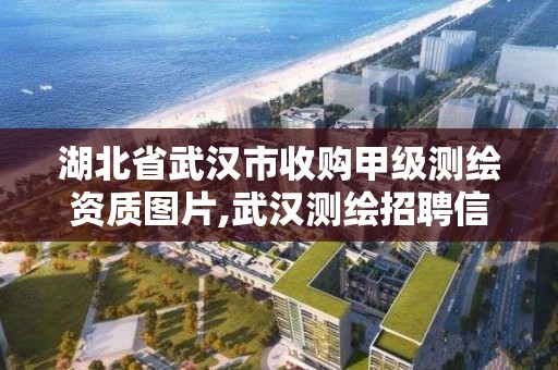 湖北省武漢市收購甲級測繪資質圖片,武漢測繪招聘信息