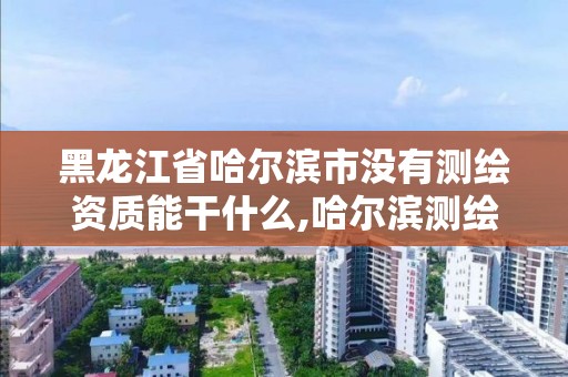 黑龍江省哈爾濱市沒有測繪資質能干什么,哈爾濱測繪局位置