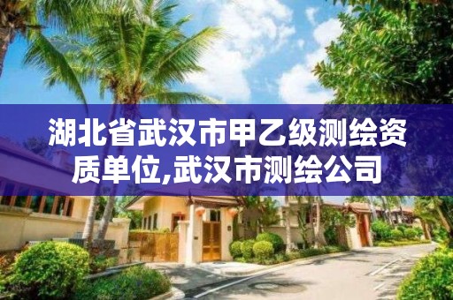 湖北省武漢市甲乙級測繪資質單位,武漢市測繪公司