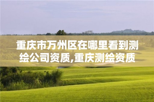 重慶市萬州區在哪里看到測繪公司資質,重慶測繪資質辦理