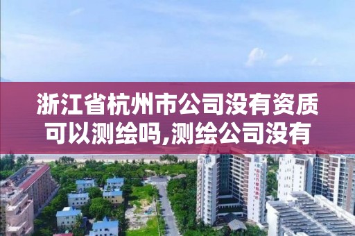 浙江省杭州市公司沒有資質可以測繪嗎,測繪公司沒有資質能開票