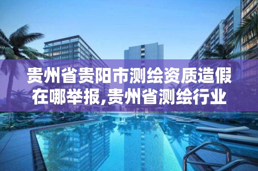 貴州省貴陽市測繪資質造假在哪舉報,貴州省測繪行業協會