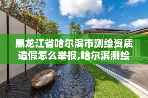 黑龍江省哈爾濱市測繪資質造假怎么舉報,哈爾濱測繪局怎么樣