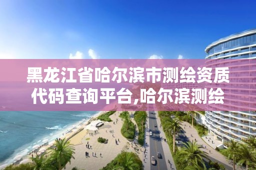 黑龍江省哈爾濱市測繪資質代碼查詢平臺,哈爾濱測繪局在哪