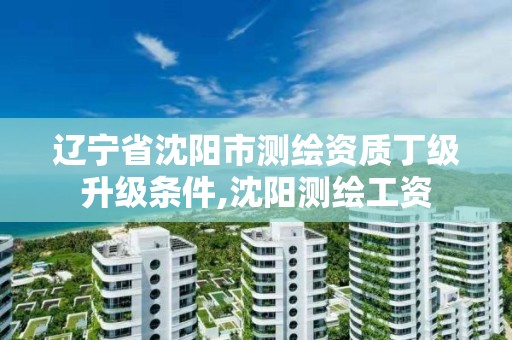 遼寧省沈陽市測繪資質丁級升級條件,沈陽測繪工資