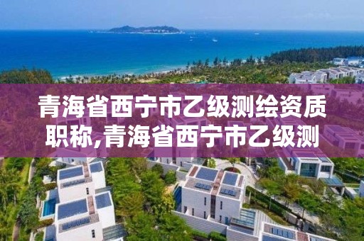 青海省西寧市乙級測繪資質職稱,青海省西寧市乙級測繪資質職稱有哪些