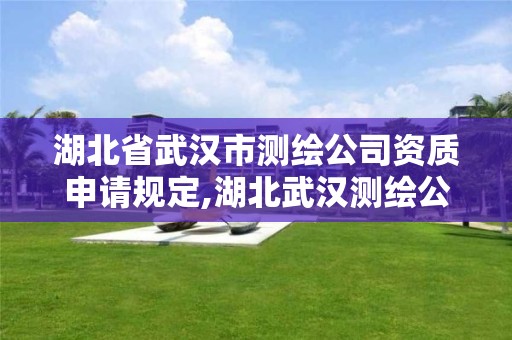 湖北省武漢市測繪公司資質申請規定,湖北武漢測繪公司排行榜