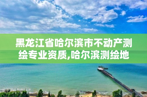 黑龍江省哈爾濱市不動產測繪專業資質,哈爾濱測繪地理信息局