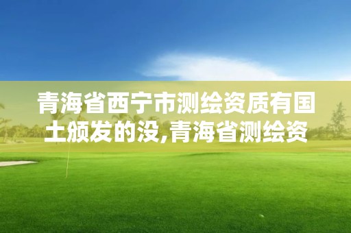 青海省西寧市測繪資質有國土頒發的沒,青海省測繪資質延期公告。