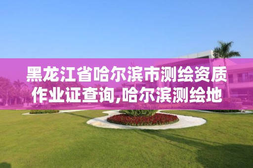 黑龍江省哈爾濱市測繪資質作業證查詢,哈爾濱測繪地理信息局