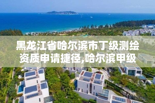 黑龍江省哈爾濱市丁級測繪資質(zhì)申請捷徑,哈爾濱甲級測繪公司