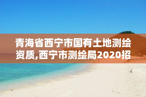 青海省西寧市國有土地測繪資質,西寧市測繪局2020招聘