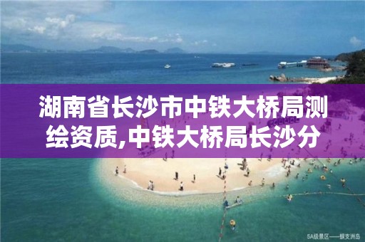 湖南省長沙市中鐵大橋局測繪資質(zhì),中鐵大橋局長沙分公司