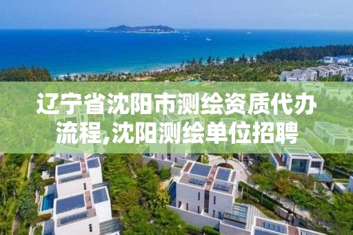 遼寧省沈陽市測繪資質代辦流程,沈陽測繪單位招聘