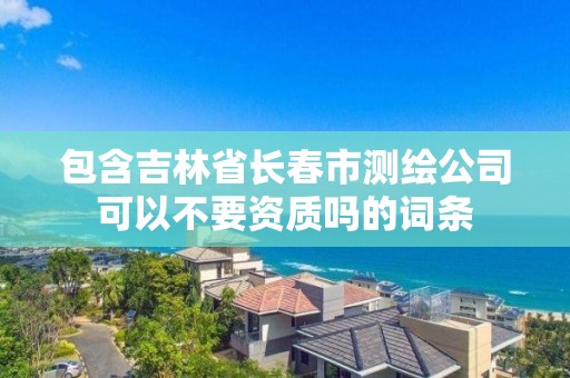 包含吉林省長(zhǎng)春市測(cè)繪公司可以不要資質(zhì)嗎的詞條