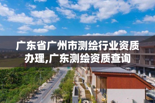 廣東省廣州市測繪行業資質辦理,廣東測繪資質查詢