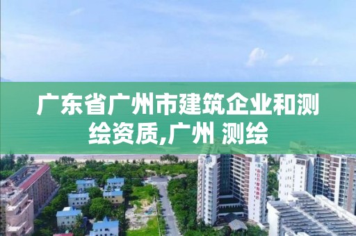 廣東省廣州市建筑企業和測繪資質,廣州 測繪