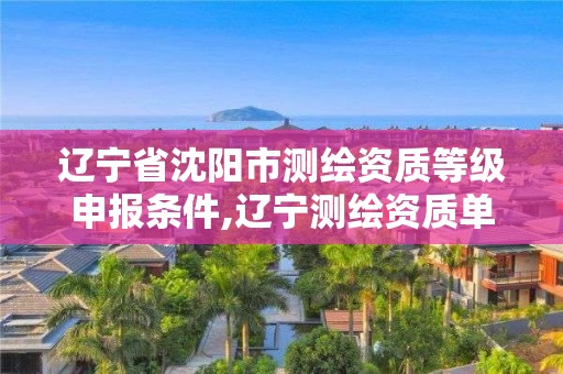 遼寧省沈陽市測繪資質等級申報條件,遼寧測繪資質單位。