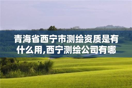 青海省西寧市測繪資質是有什么用,西寧測繪公司有哪些。